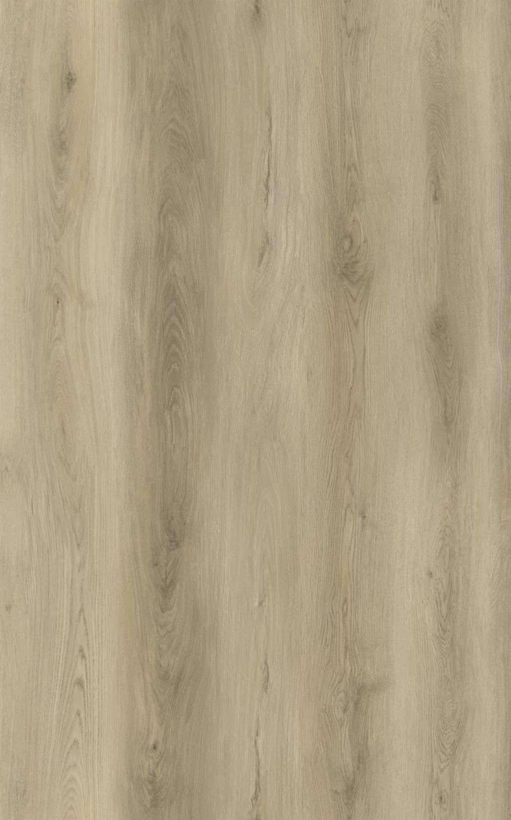 Bermuda Planks Sargasso